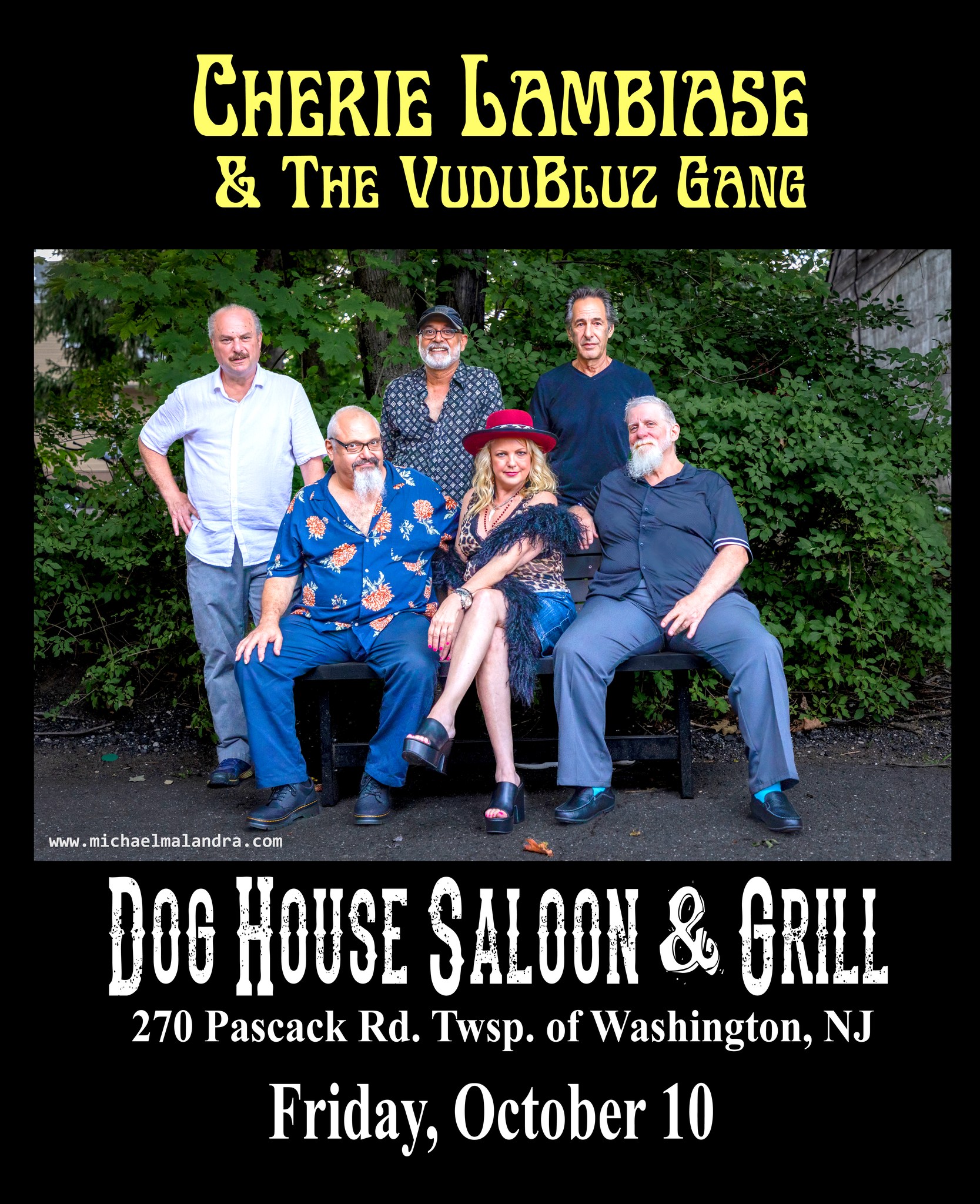 Cherie Lambiase & The VuduBluz Gang | Twinsies except mine is rose and
