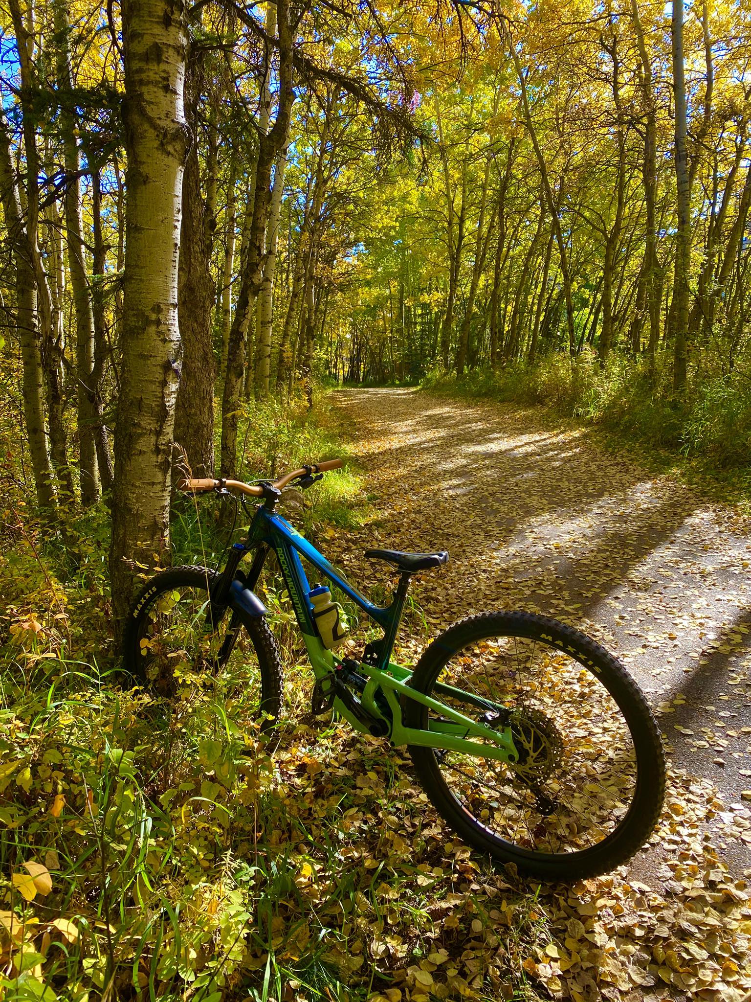 MTB Trails | Fall season mountain biking hits different — the crisp air ...