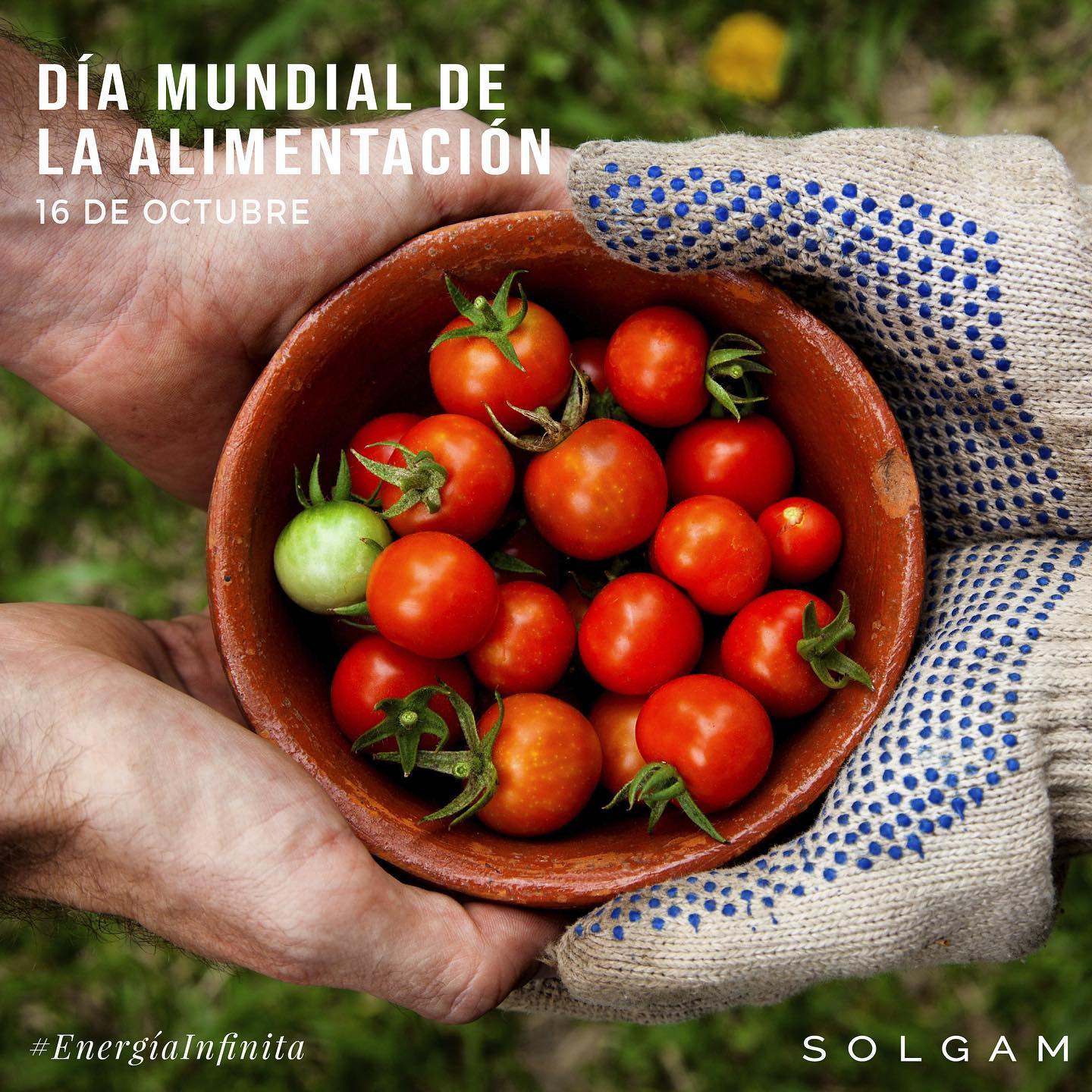 Solgam México | León