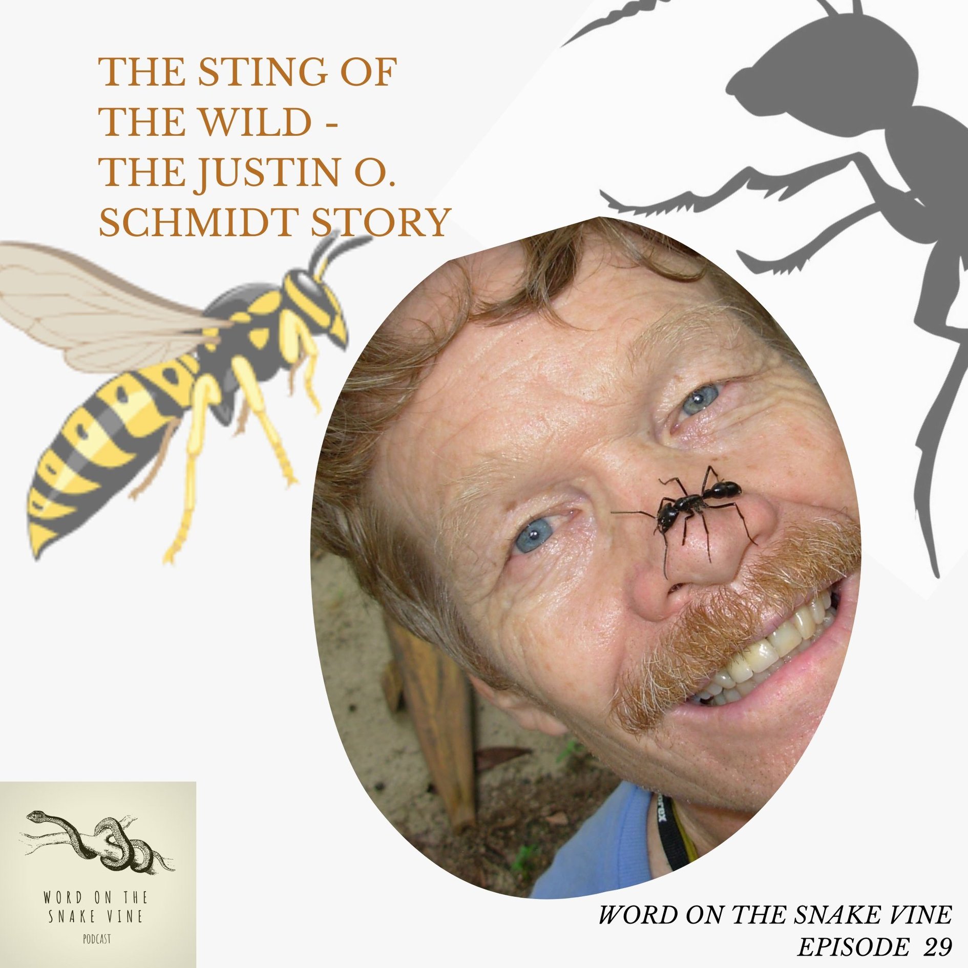 Word on the Snake Vine Podcast - So the last episode of the summer of ...