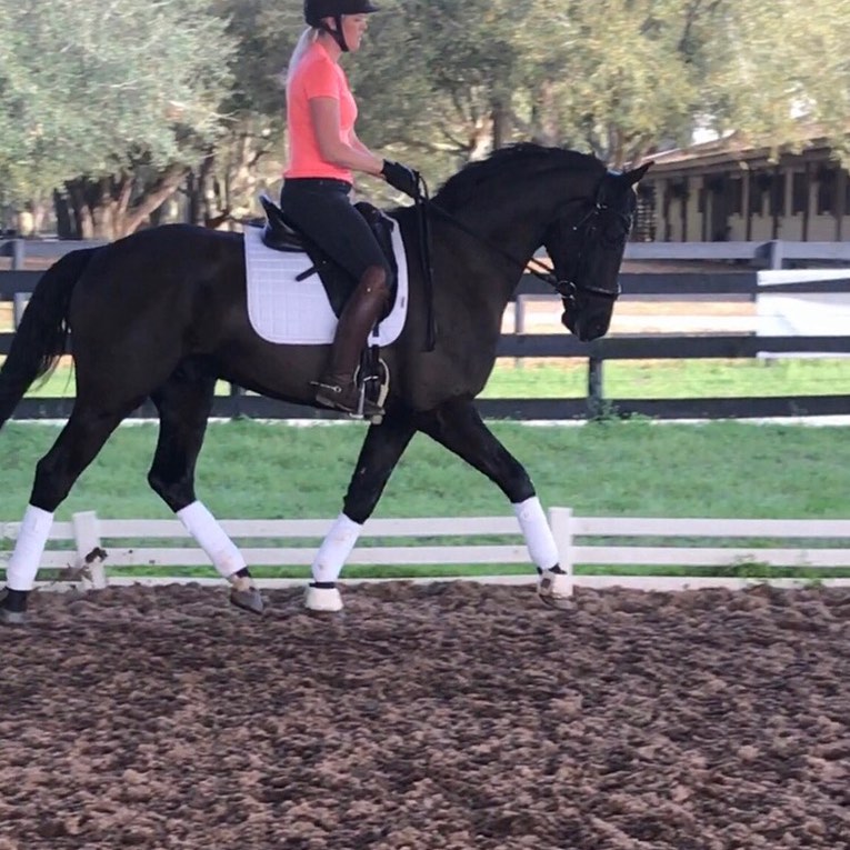 Becky Rutkowski Dressage