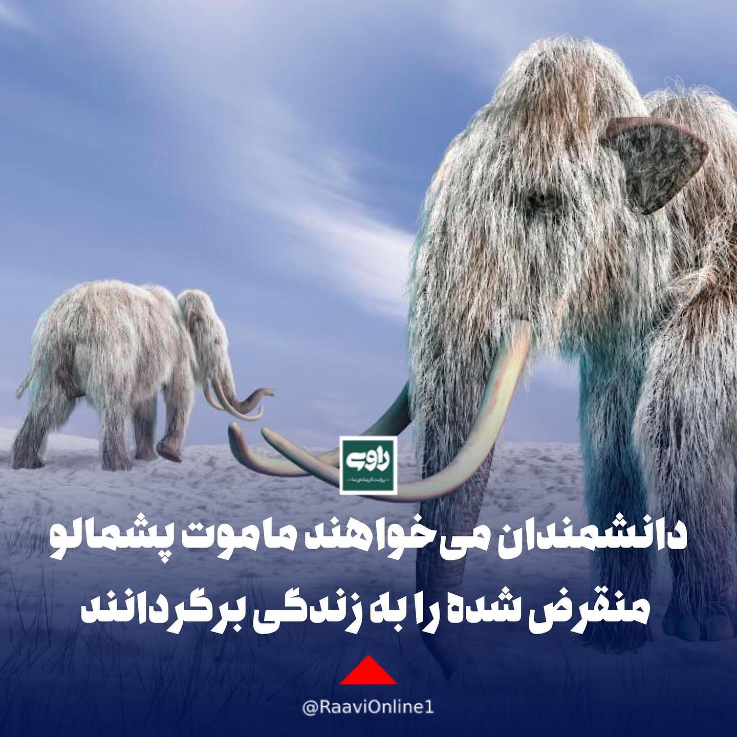 منقرض Explore Facebook