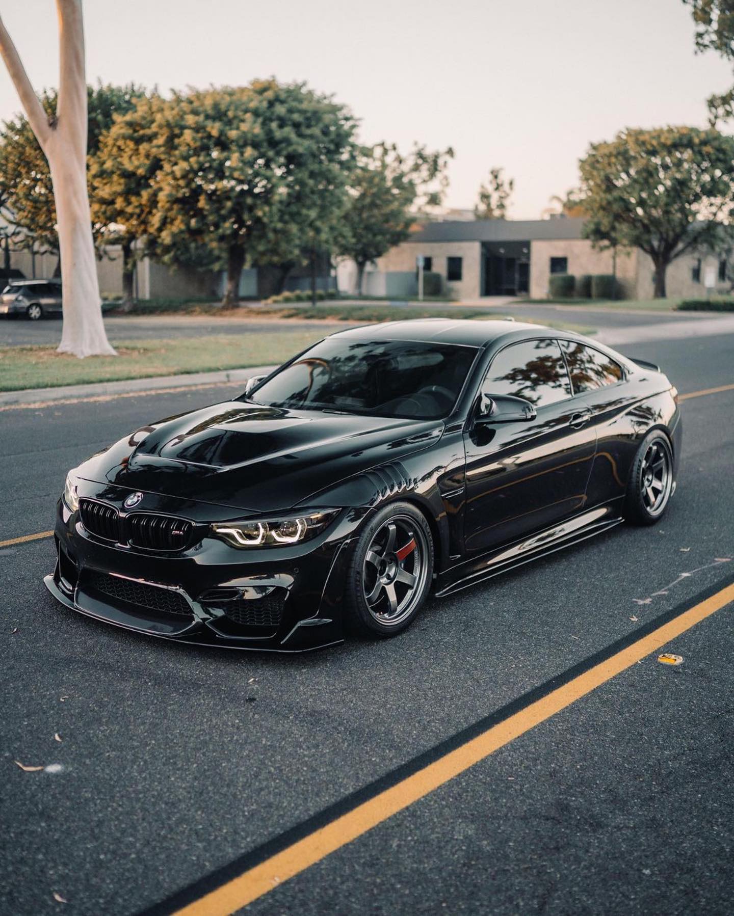 RAYS Wheels USA - BMW M4 on VOLK RACING TE37SL 🚗:... | Facebook