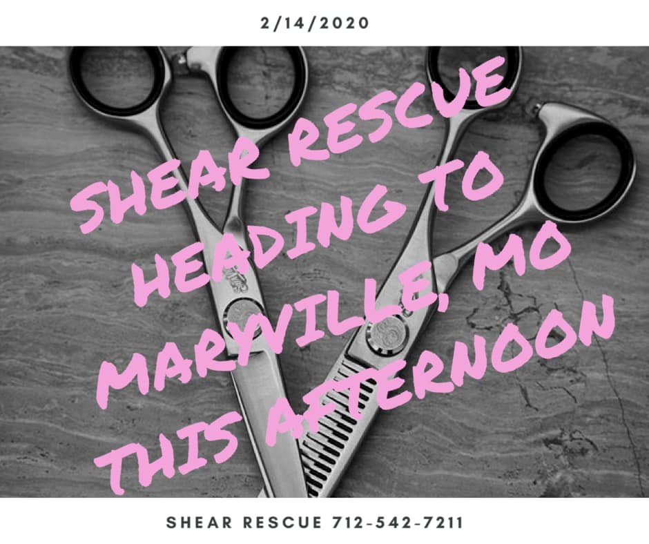 Shear Rescue | Diagonal IA