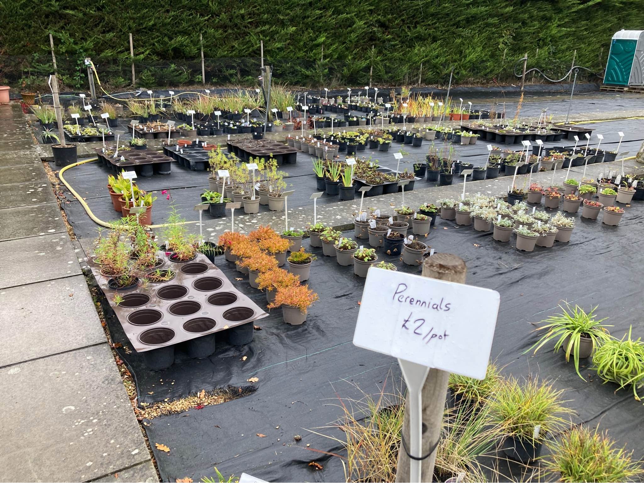 Plant Nursery closing, retiring after serving the community for 31 ...
