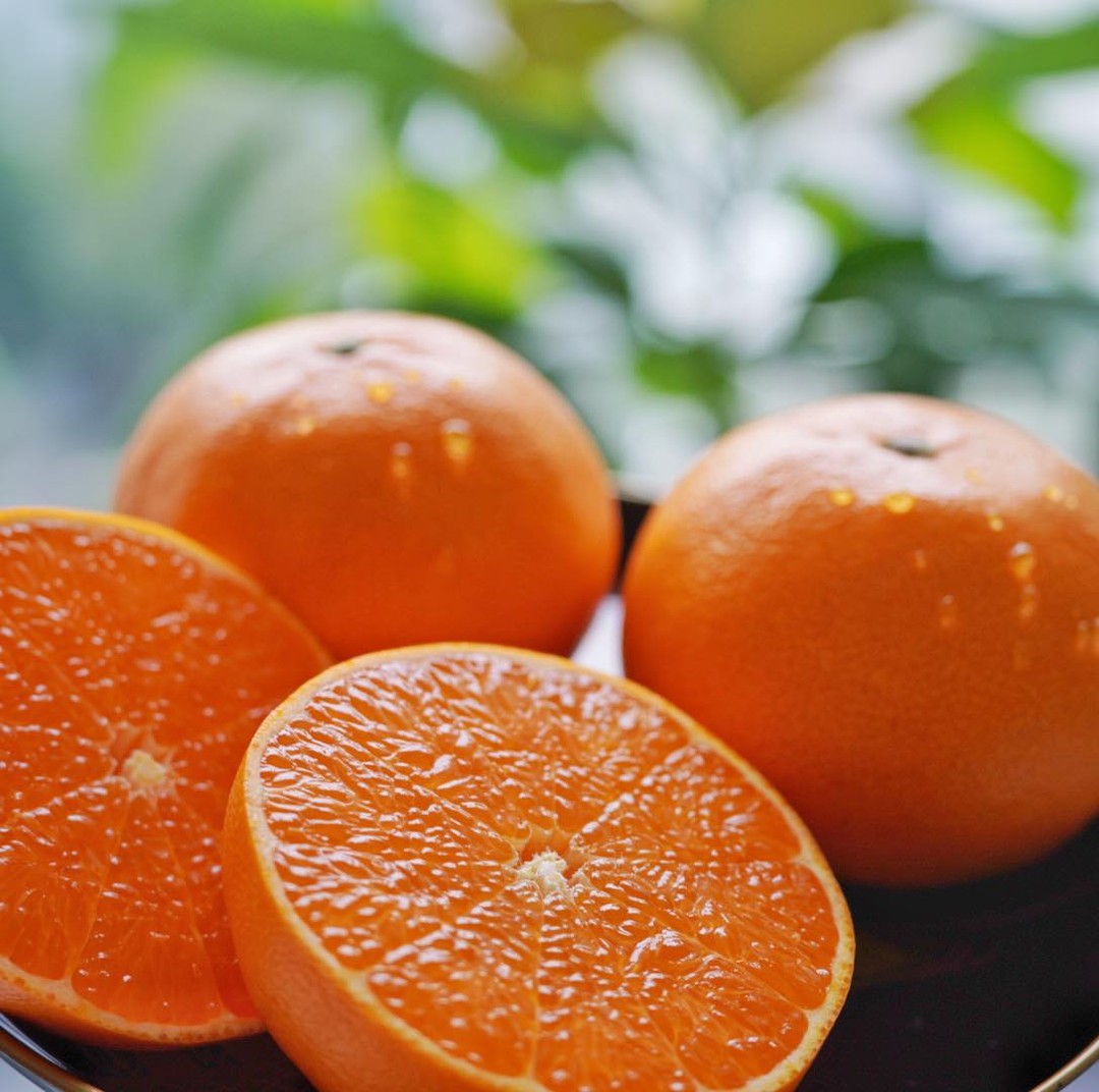 藏樂 - 🍊PREMIUM TANGERINE: SETOKA arrived from Saga, Japan by air
