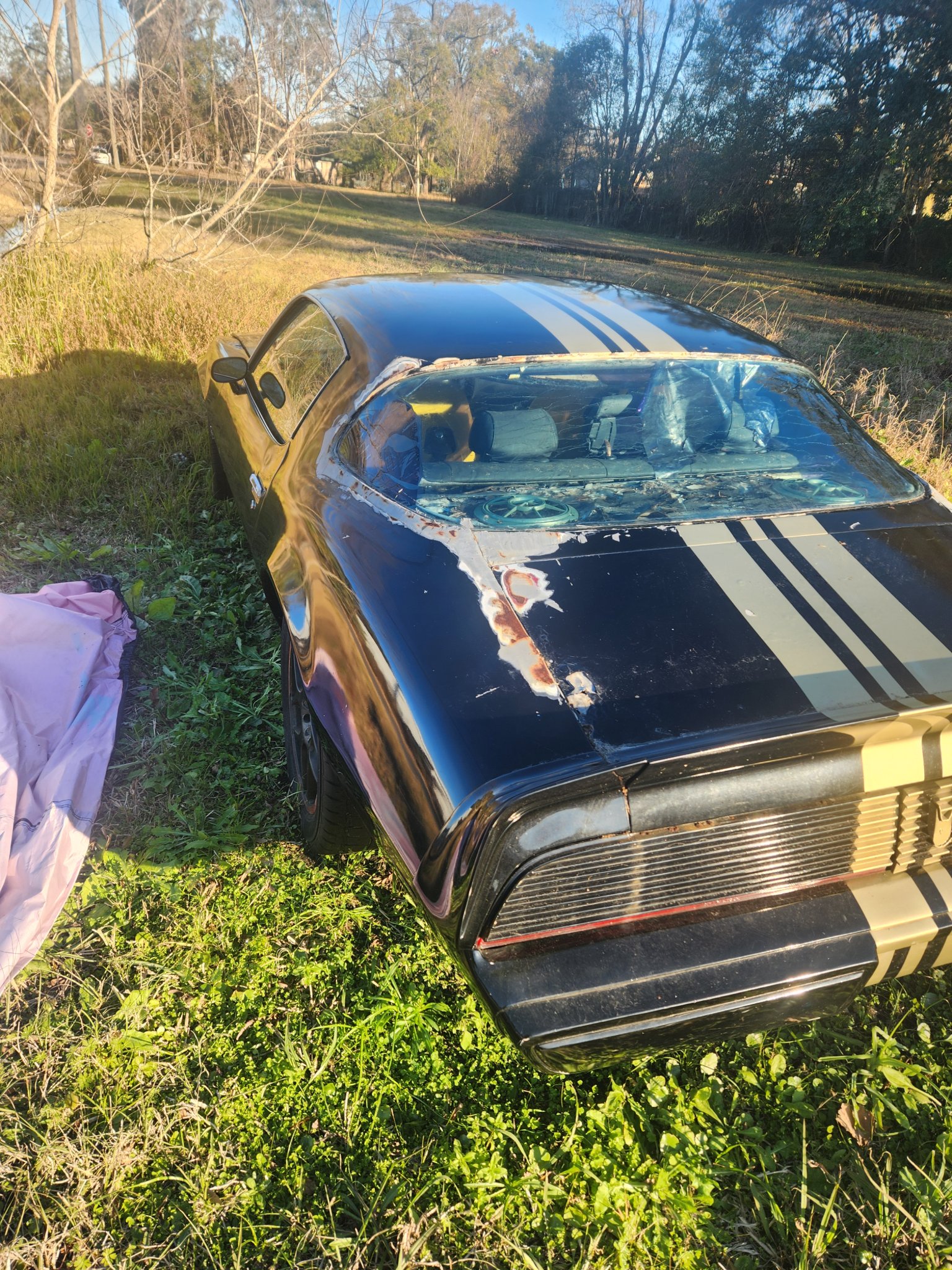 1977 Pontiac Trans Am · Coupe 2D - Toy Race Car & Track Sets ...