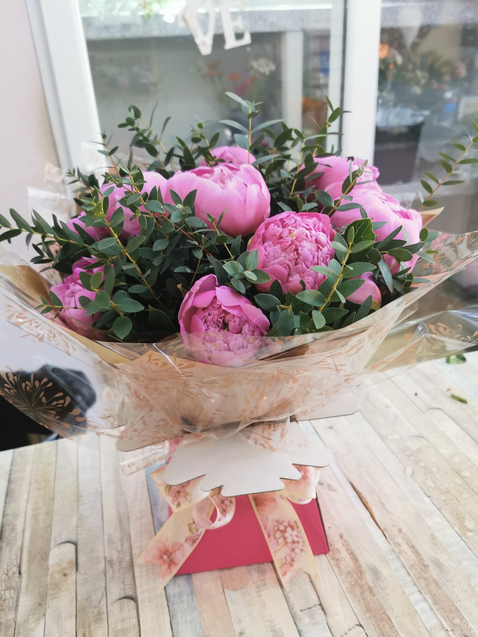🌷 ᝰ໋̟݊ 𝗠𝘆 𝗹𝗶𝘁𝘁𝗹𝗲 𝗽𝗼𝗻𝘆 ☁️ 𝕸𝖆𝖙𝖈𝖍𝖎𝖓𝖌