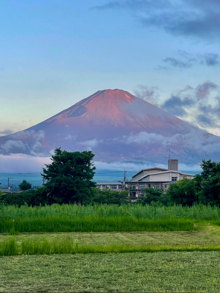 2026.6.12. 7時 山梨県富士河口湖町産屋ヶ崎
