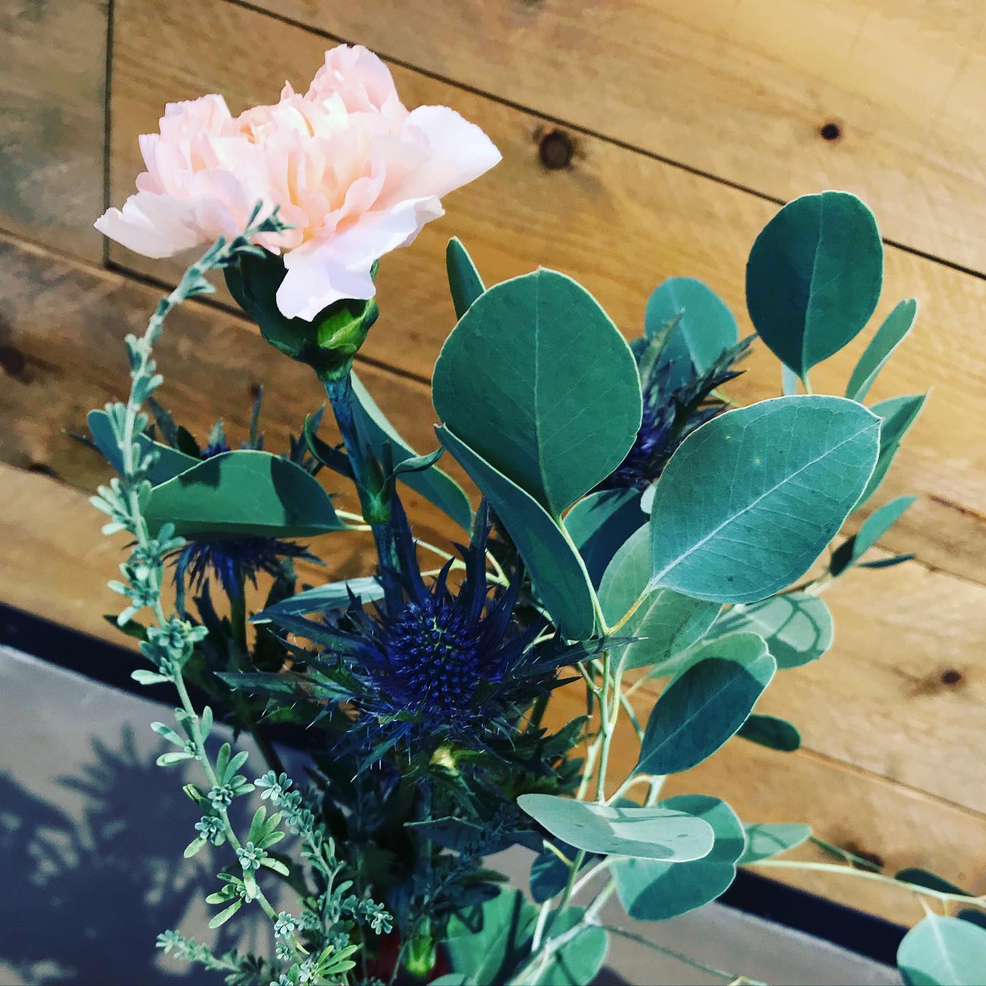 In unserem superschönen flowerpack... - flowers and friends | Facebook
