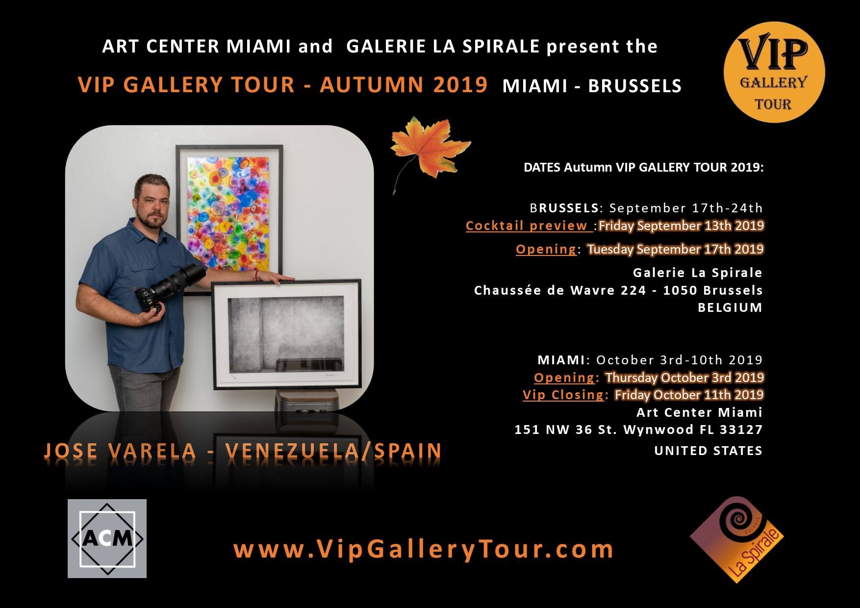 VIP Gallery Tour