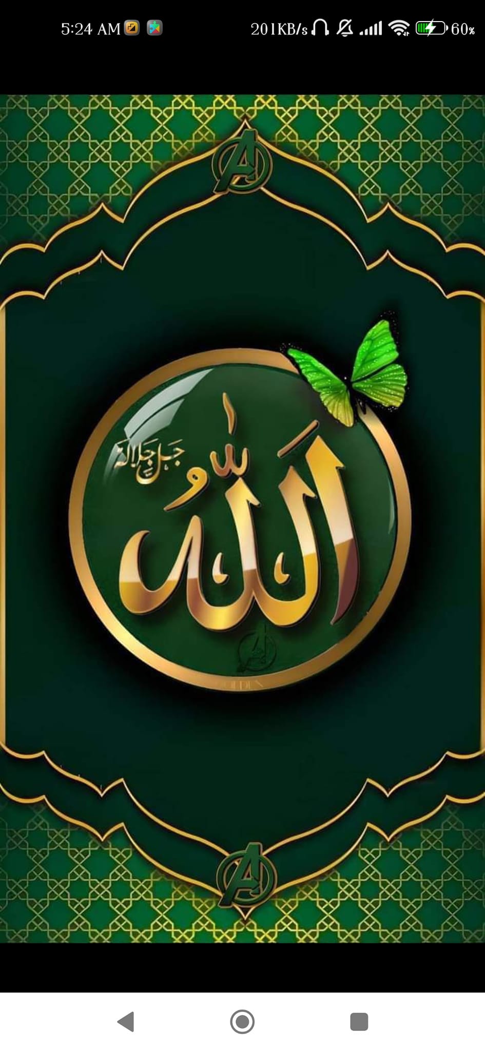 md.reyaz