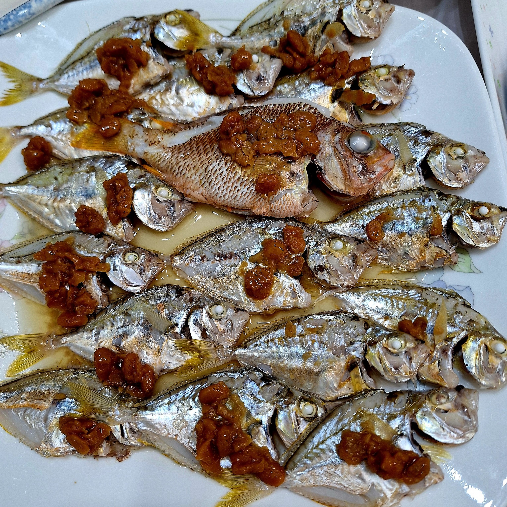 香港街市魚類海鮮研究社 | 中間果條 咩魚？？ 十分好食 | Facebook