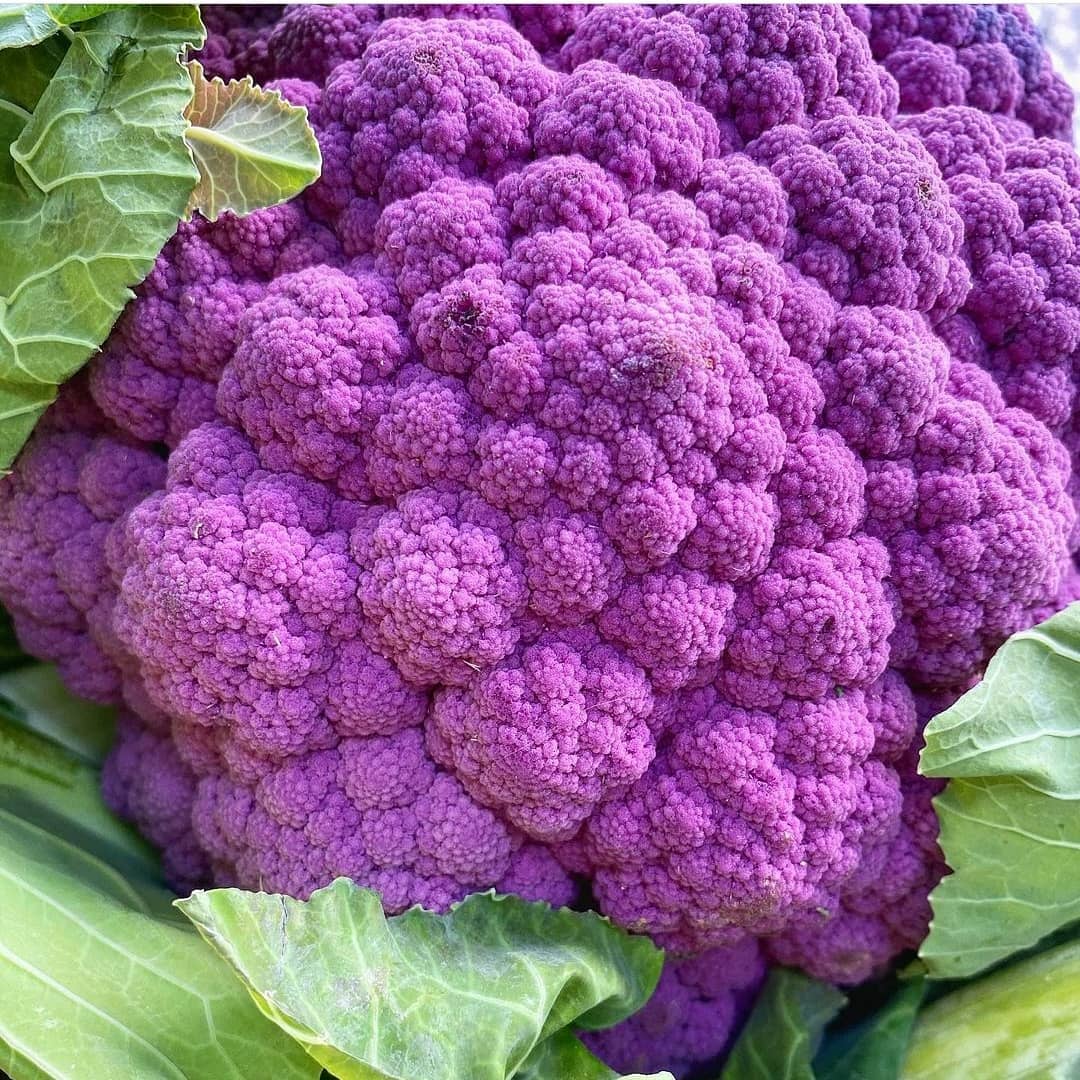 Nutricionista - Cheio de antocianinas, um potente antioxidante, super ...