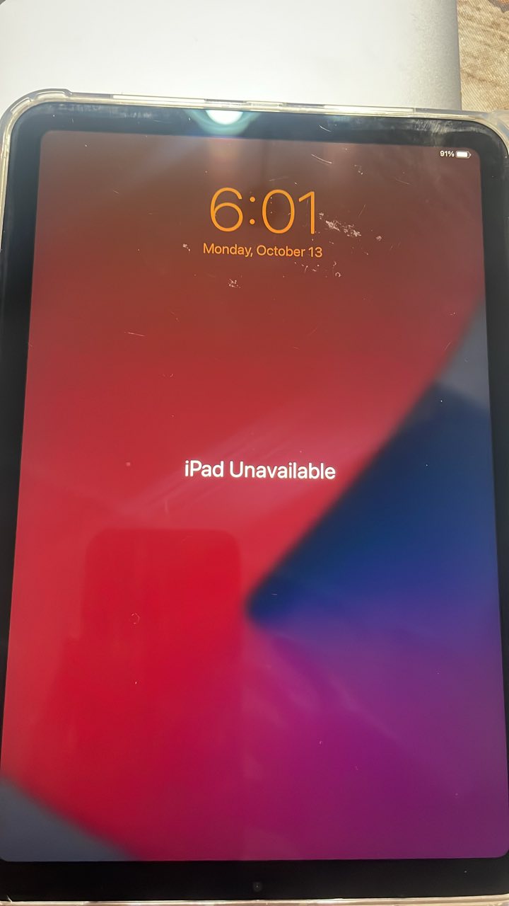 Apple iPad 本体(START OKAY WORKING) Apple iPad 本体(START OKAY WORKING) Apple iPad 本体(START OKAY