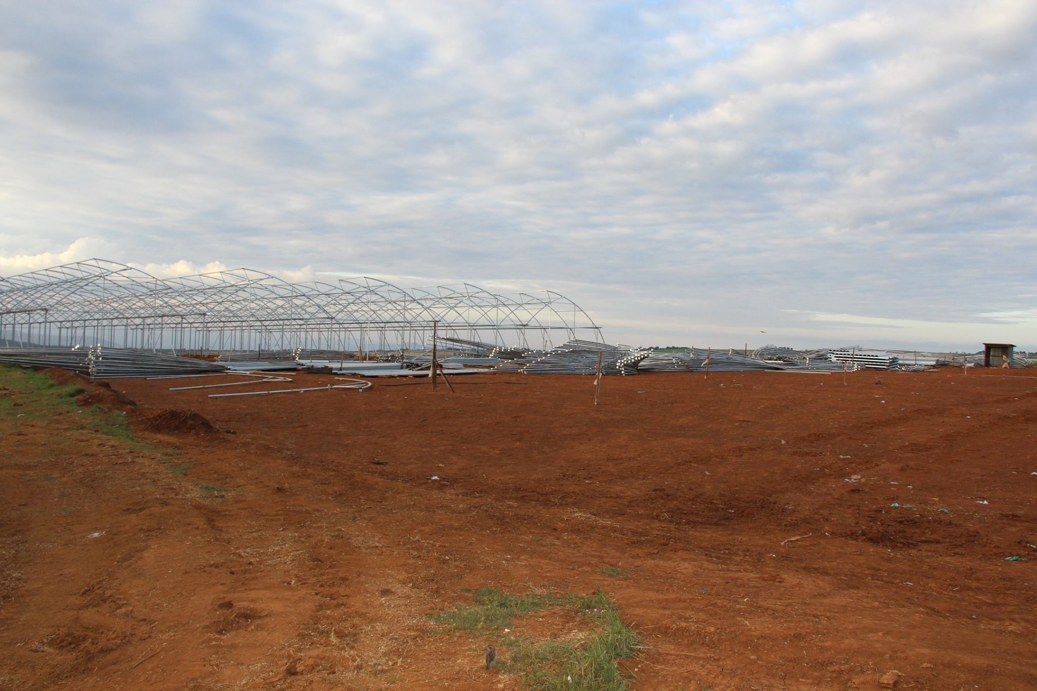 Bemack Farm Project. Timau. - Trikei Construction Ltd | Facebook