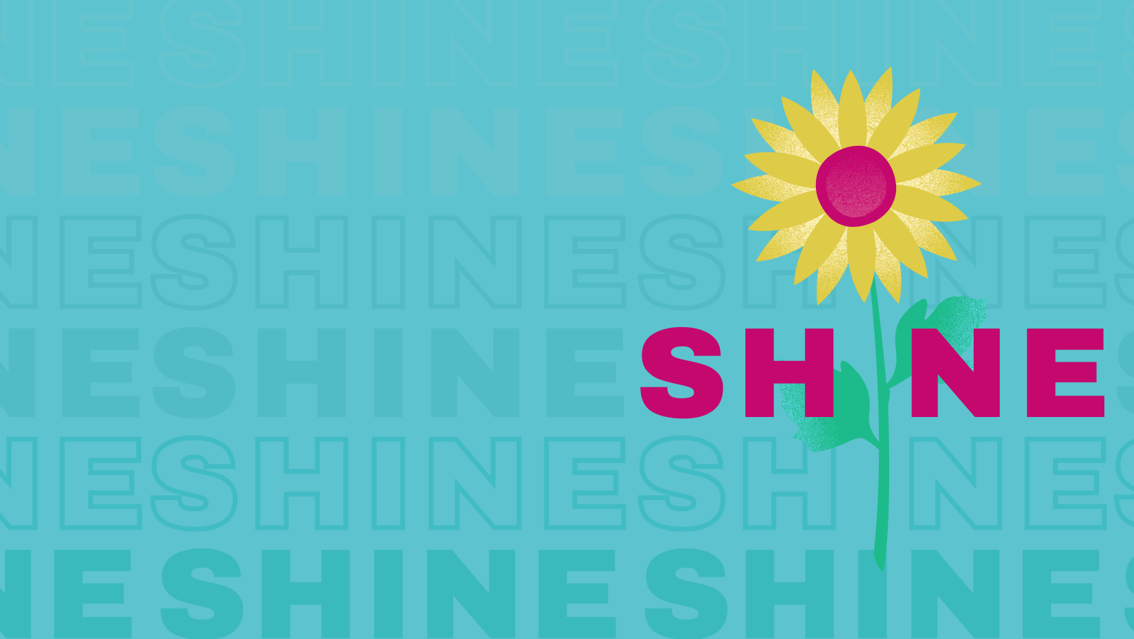 Natives SHINE | Phoenix AZ