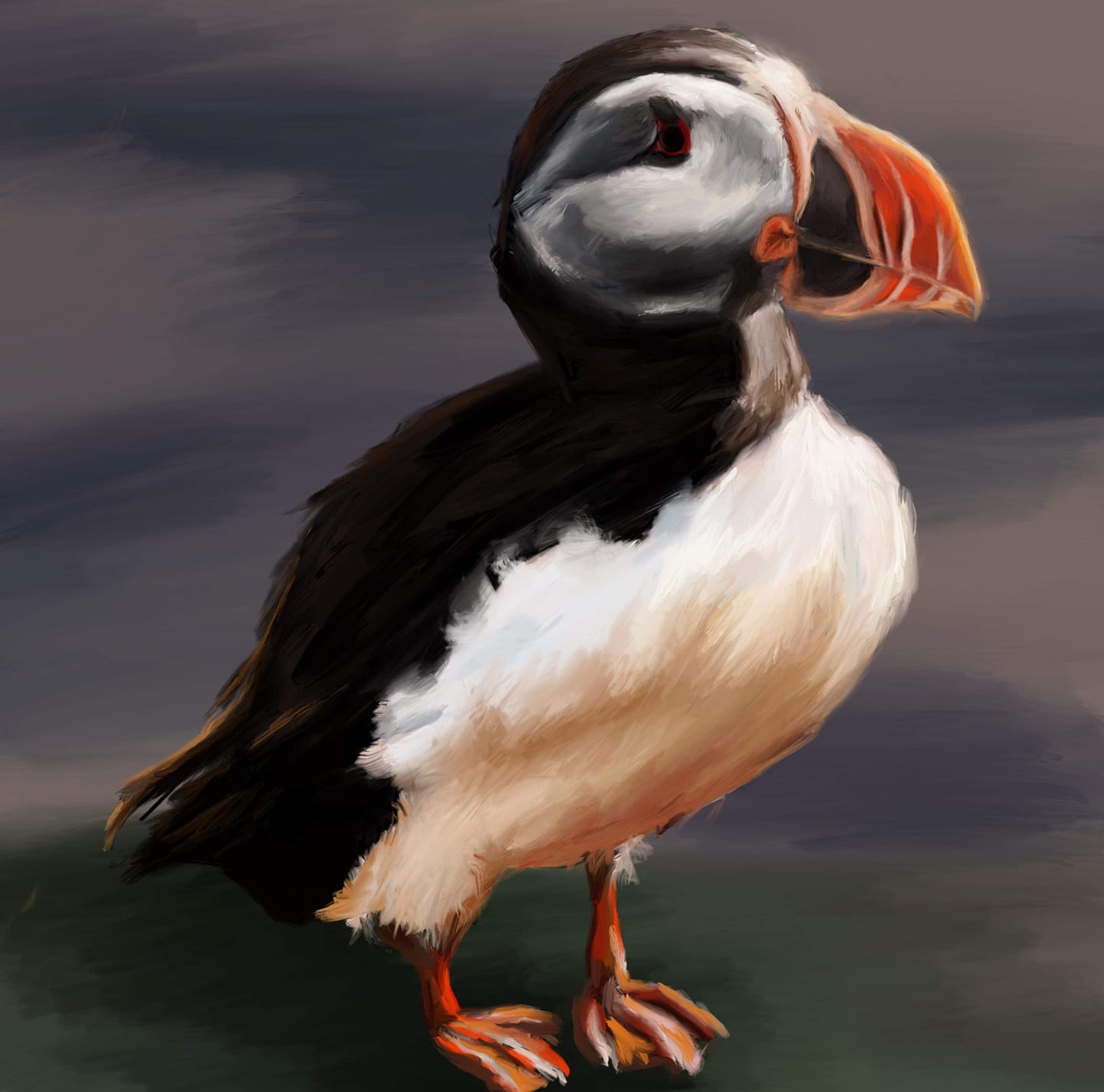 Morgan - As promised, here's a sneak peak of a little puffin I've been ...