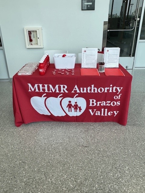 Mhmr Authority Brazos Valley