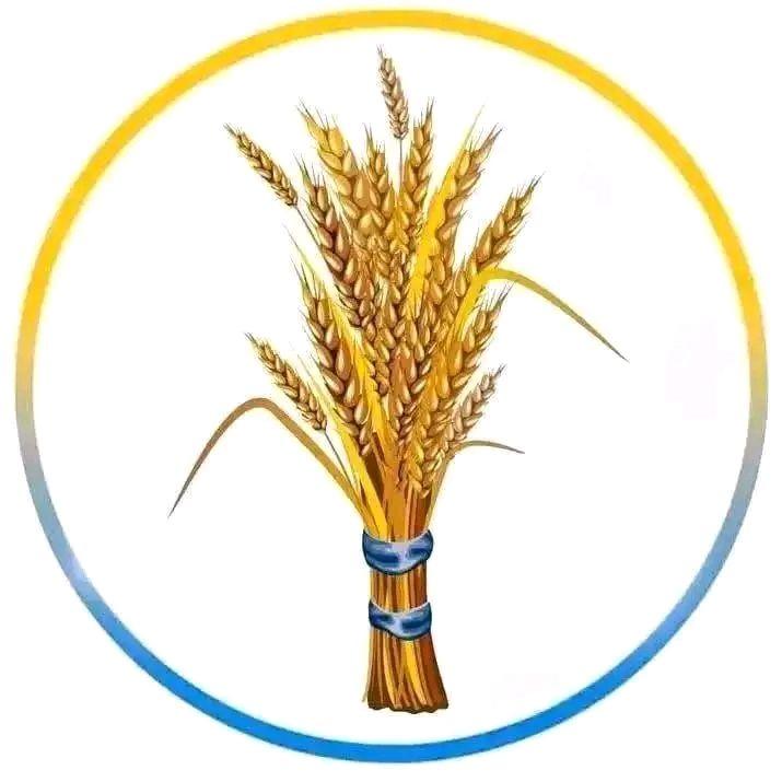 Qabi kanas | Alemayehu Lemma