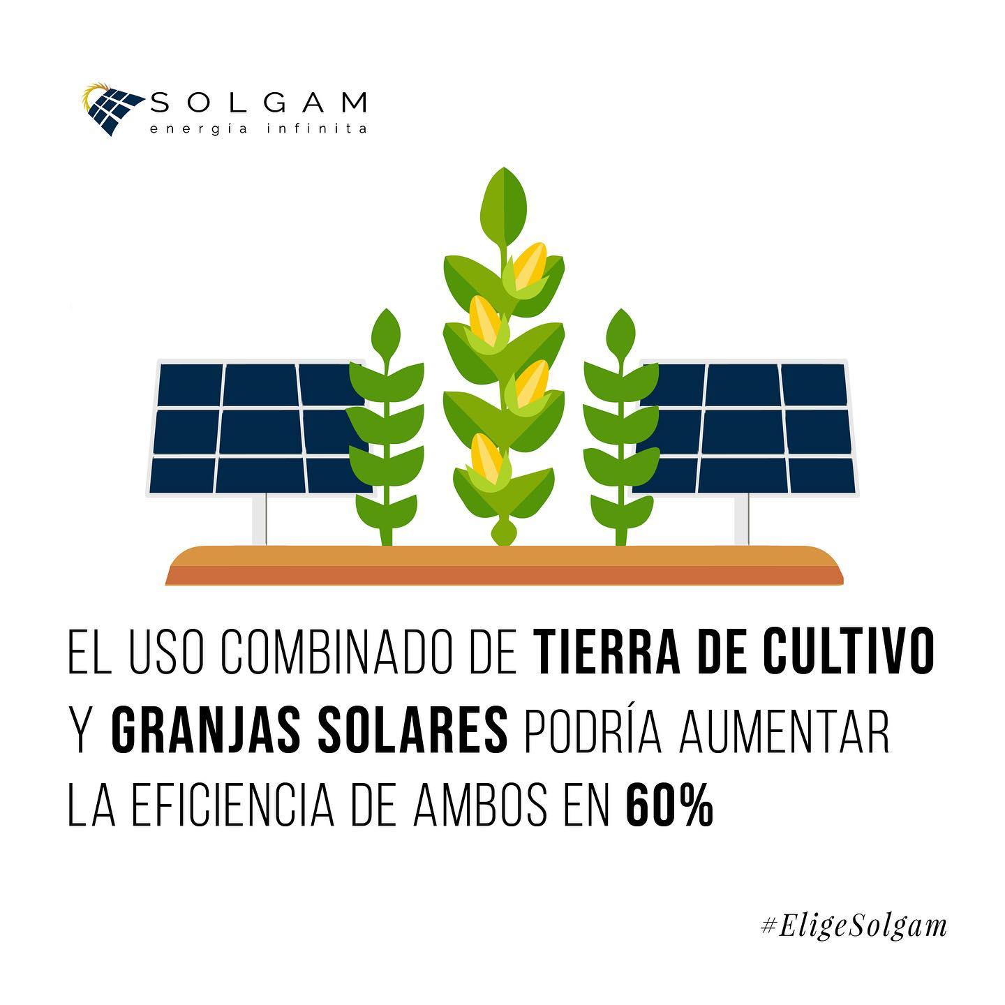 Solgam México | León