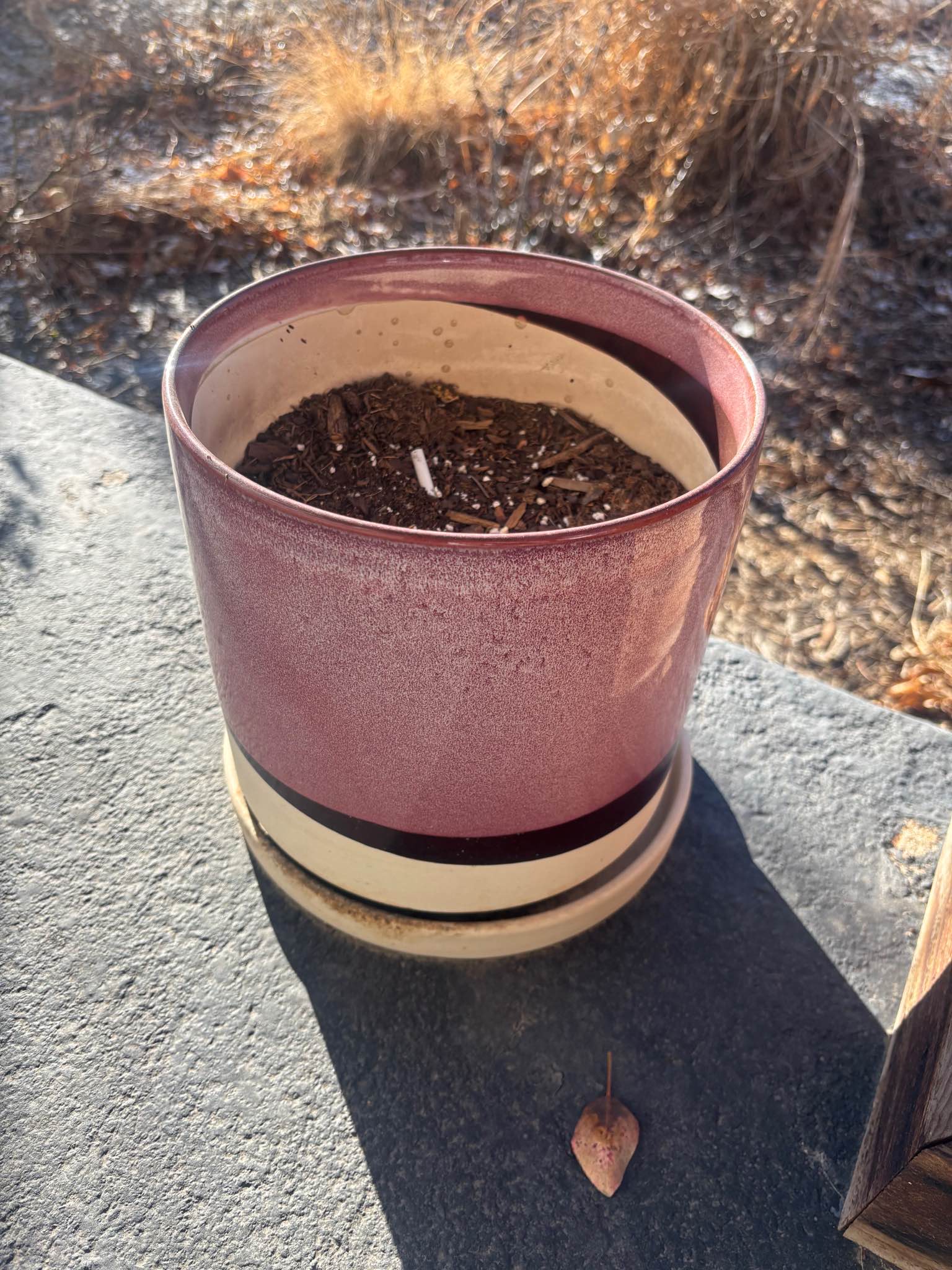 Easy plant pots and normal pot - Pots & Planters - Cherry Hills Village ...