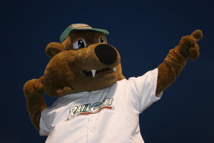 Gary SouthShore RailCats | Gary IN
