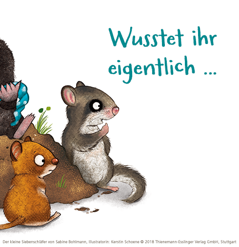 Wusstet Ihr Eigentlich Dass Der Der Kleine Siebenschlafer