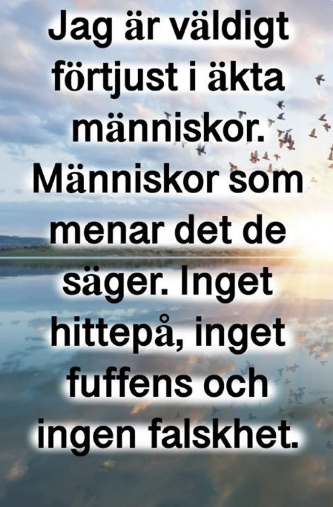 kloka-ord-citat-tankar-facebook