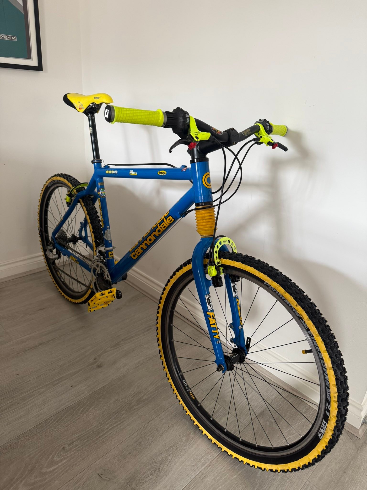 Restored Cannondale bike with new parts