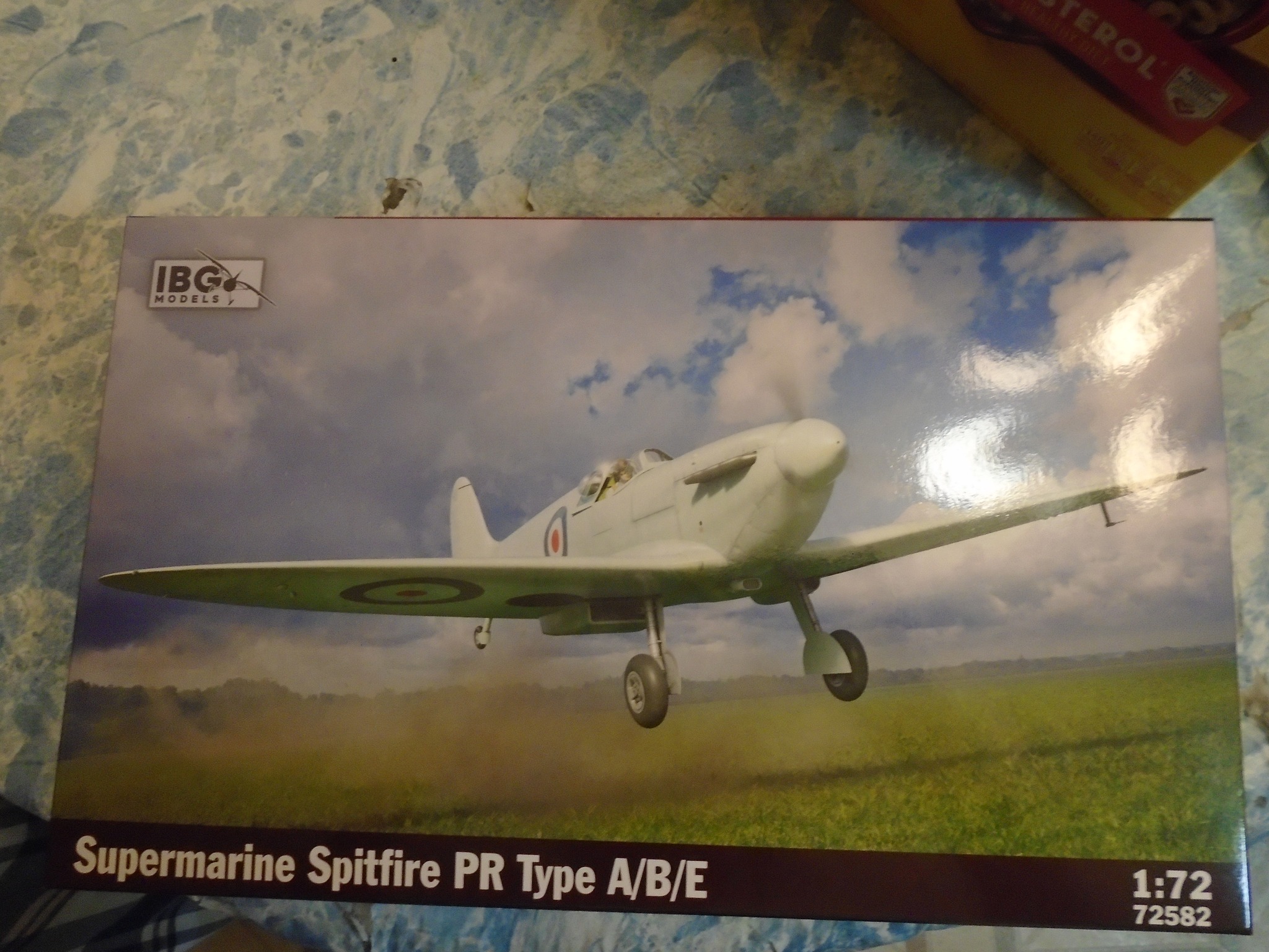 IBG kitbash by MarCo: P11a fuselage + P11b wing + engine covers