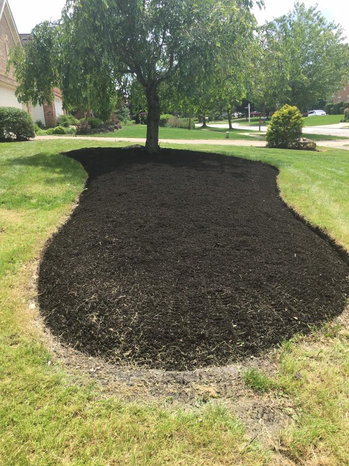 Sunrise Lawn Services, LLC. | Brunswick OH