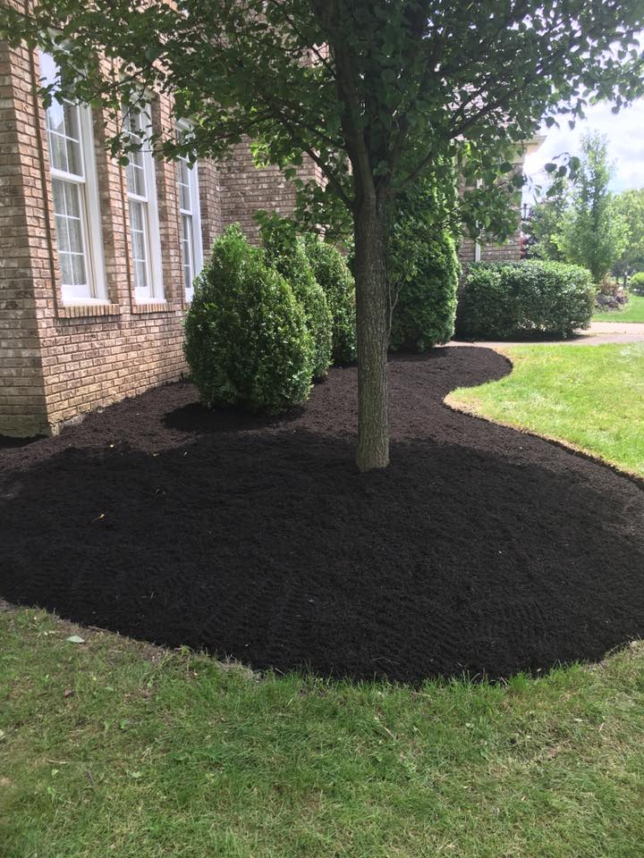Sunrise Lawn Services, LLC. | Brunswick OH