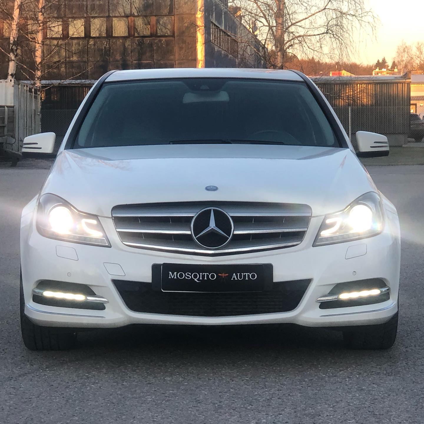 Mosqito auto | Salo