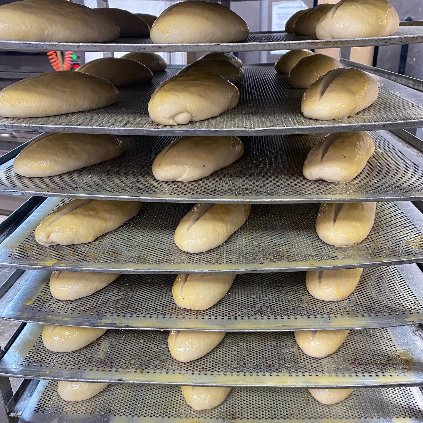 Martinsweckenzeit🥰 #sanktmartin #martinsweck #hefeteig #rosinen #genießen #frisch #lecker #leckervombäcker #supportyourlocal #baeckereikonditoreilennartz #kuchenheim #euskirchen #stotzheim #flamersheim #kirchheim #großbüllesheim #badmünstereifel