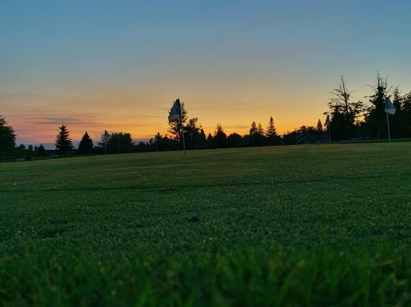 Grape Ranch Golf Club | Palo Cedro CA