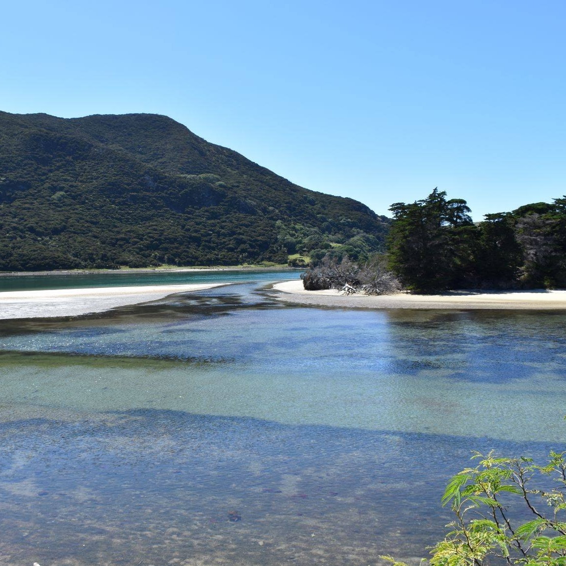 Houhora Heads Wagener Holiday Park Publications Facebook