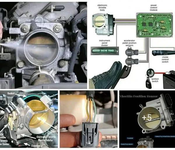 Michael - THROTTLE POSITION SENSOR (TPS): A CRUCIAL COMPONENT FOR ...