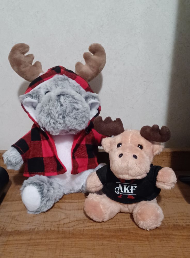 My Bedtime Sammy the Moose came today. He is with my other AKF moose.