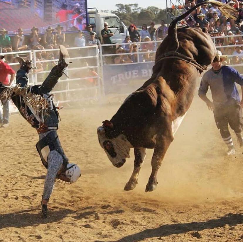 Woodall - ‼️ WOODALL RODEO PROMOTIONS 2019/20 CALENDAR ‼️ Deniliquin ...
