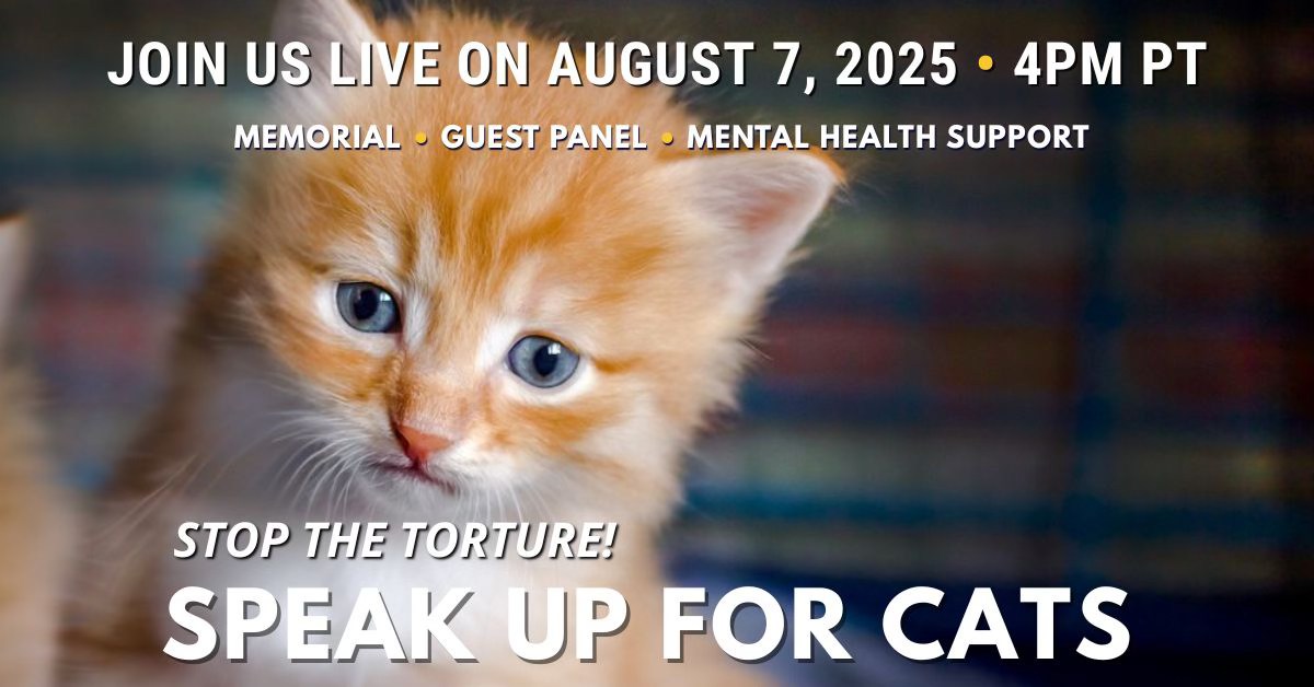 Virtual Rally Against Online Cat Torture