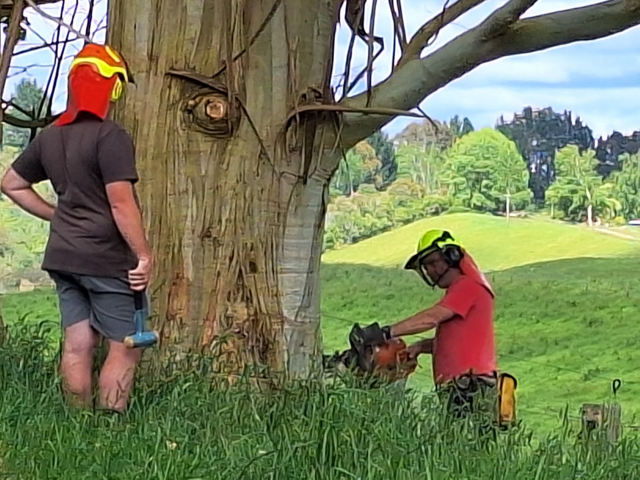 What bar length for ringing big ends with Husqvarna 268XP?