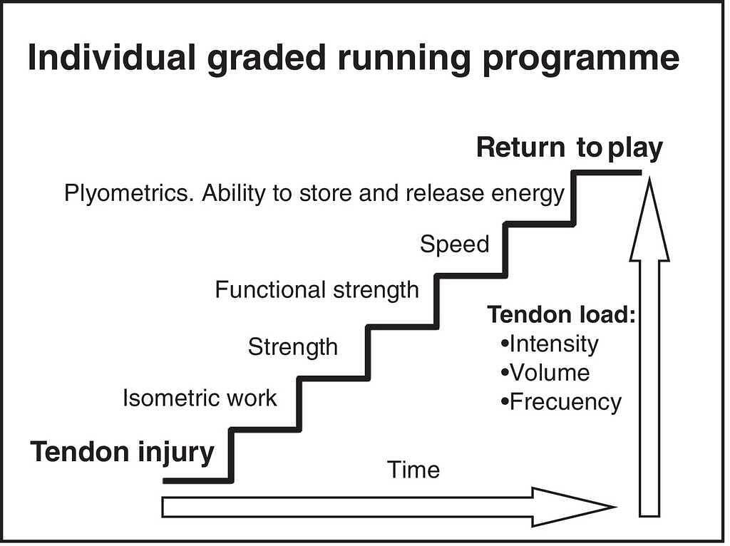 Dr. Mitch Savic - Load Management For Tendinopathy and Return to Play ...