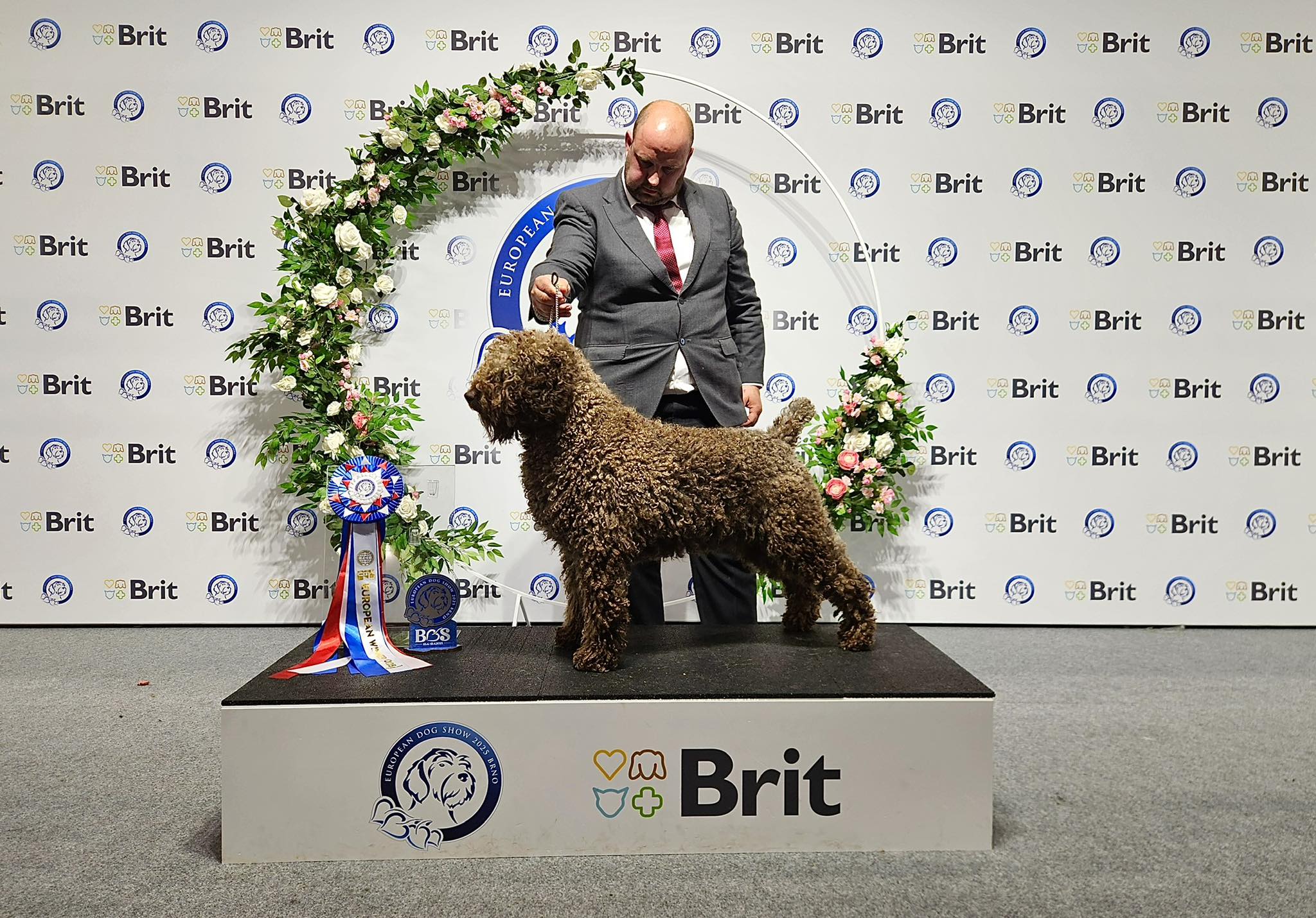 🐾🐾🐾🐾RAYARAGUA KENNEL🐾🐾🐾🐾... - Oscar Garcia Carral | Facebook