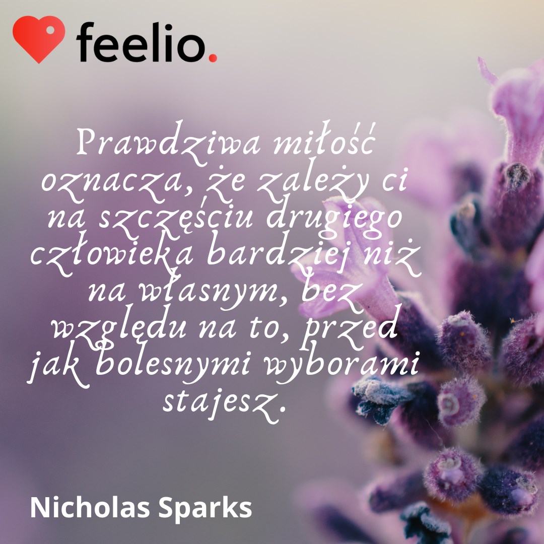 feelio.pl | Izdebnik