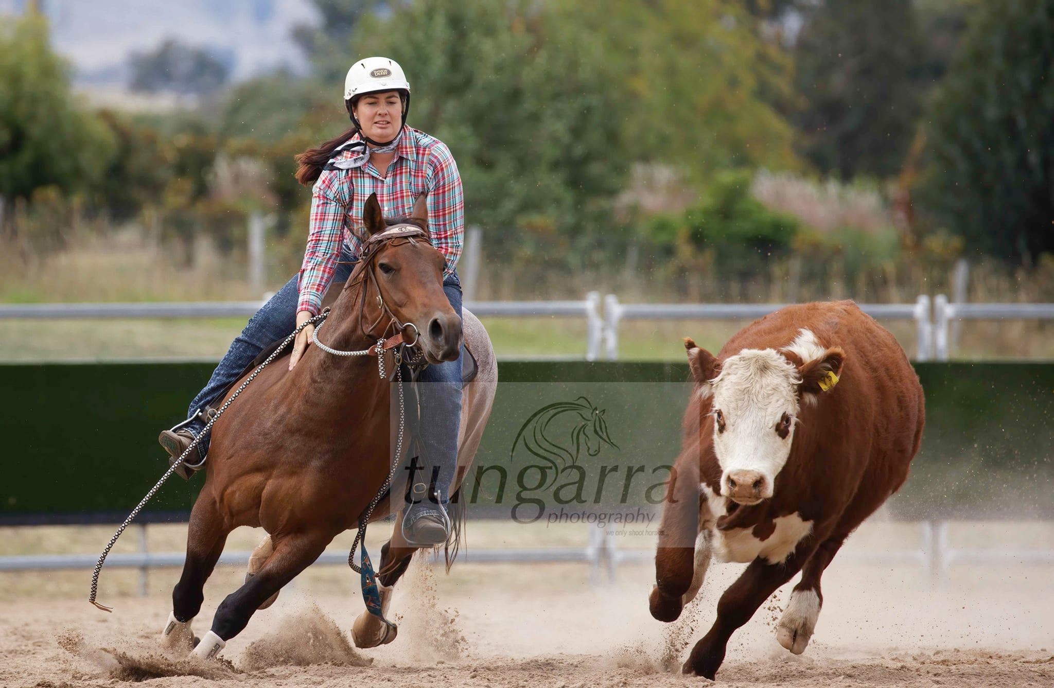Tungarra Stud & Photography