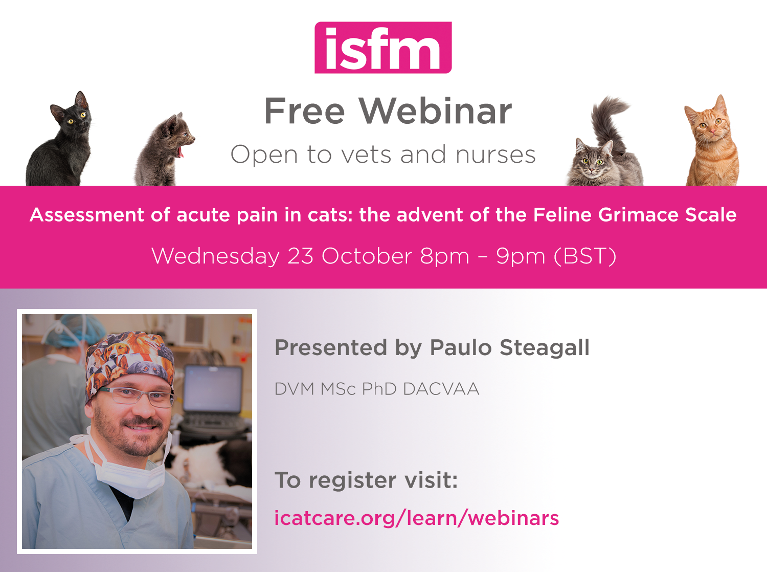 Curated visual reference: Managing Feline Cancer Pain Reference: Assessment Of Acute Pain In Cats Understanding And Managing Feline