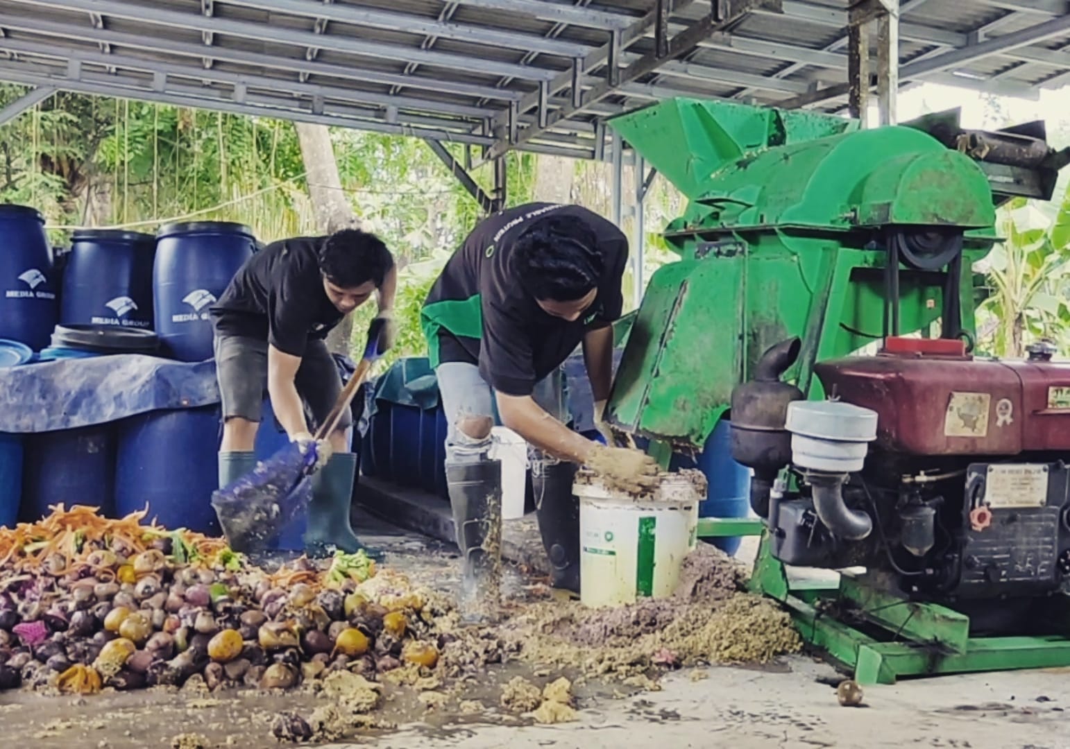 Biomagg - Proses pencacahan sampah organik #organik...