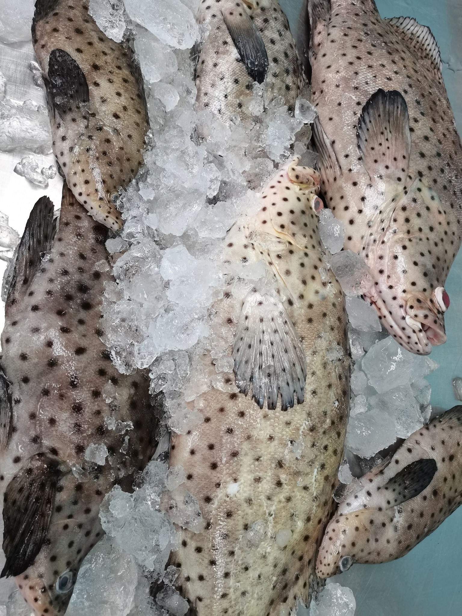 Before HARI RAYA Last Night... - Vendyst Sandakan Seafood | Facebook