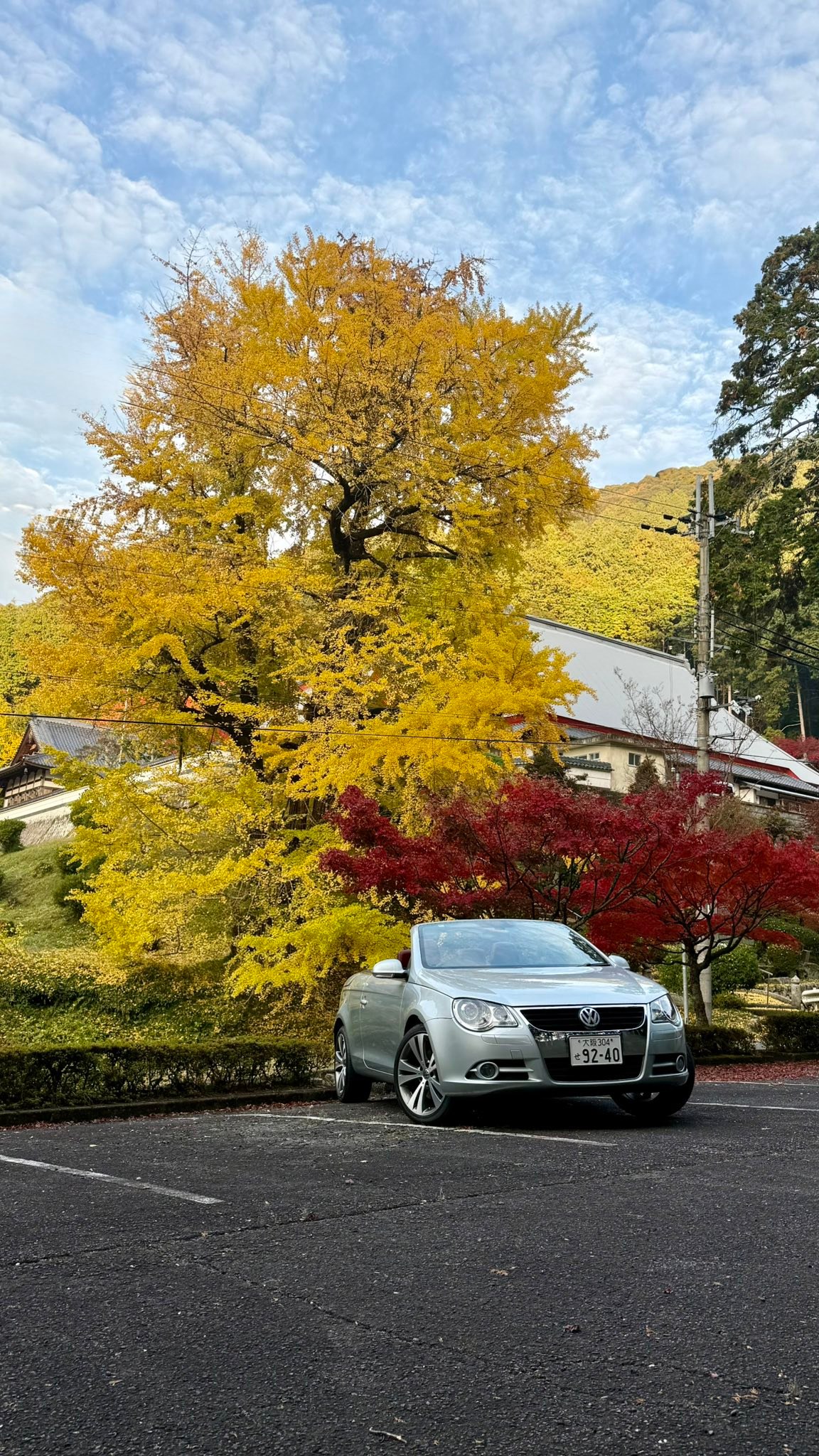 Volkswagen EOS Owners | 連休2日目は、銀杏の木を求めて、西脇市〜小野市〜氷上町へ | Facebook